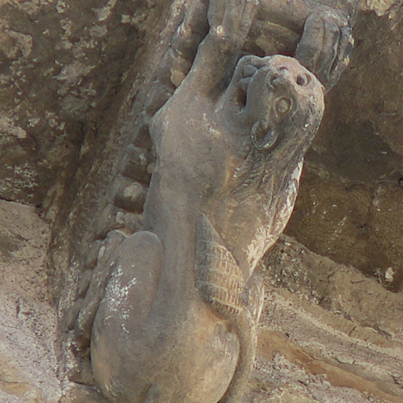 Lionne en position de prière