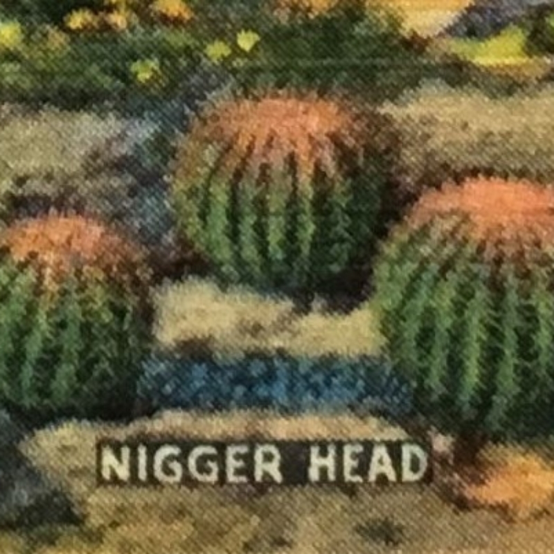 Cactus Nigger Head